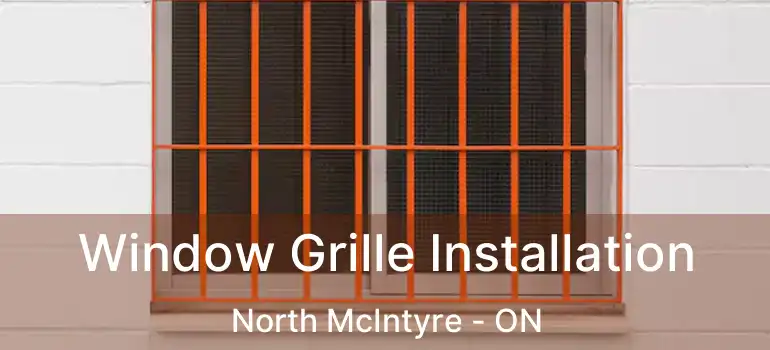  Window Grille Installation North McIntyre - ON