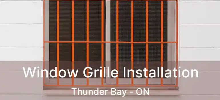  Window Grille Installation Thunder Bay - ON