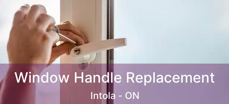  Window Handle Replacement Intola - ON