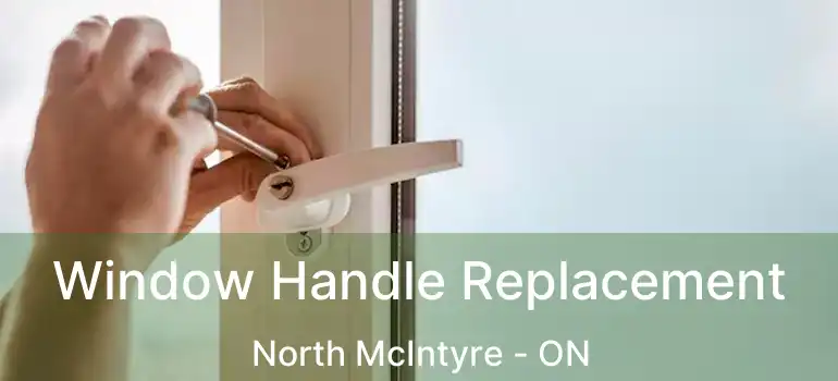  Window Handle Replacement North McIntyre - ON