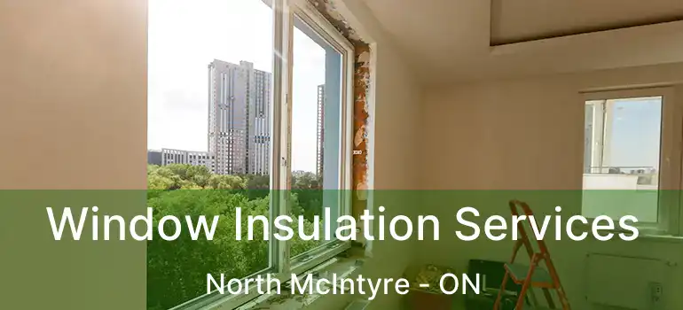  Window Insulation Services North McIntyre - ON