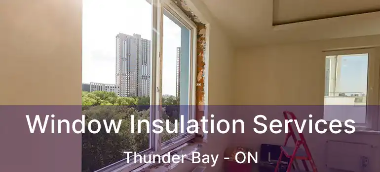  Window Insulation Services Thunder Bay - ON