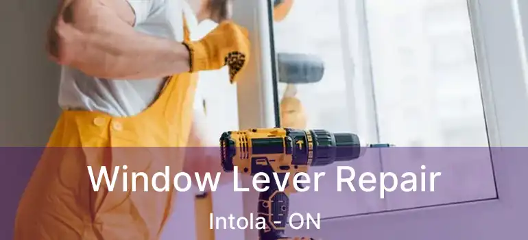  Window Lever Repair Intola - ON