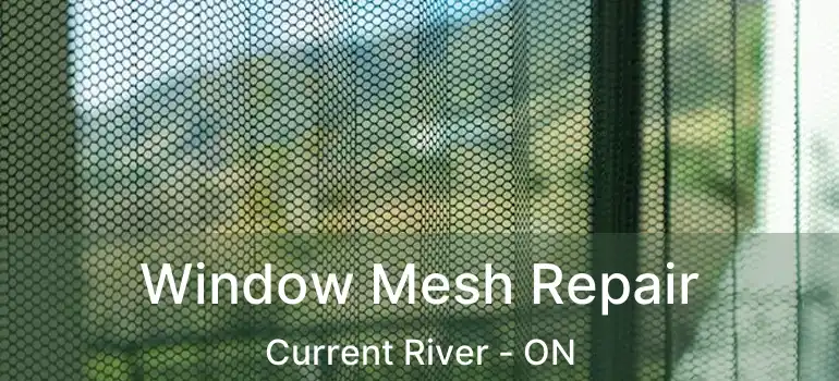  Window Mesh Repair Current River - ON