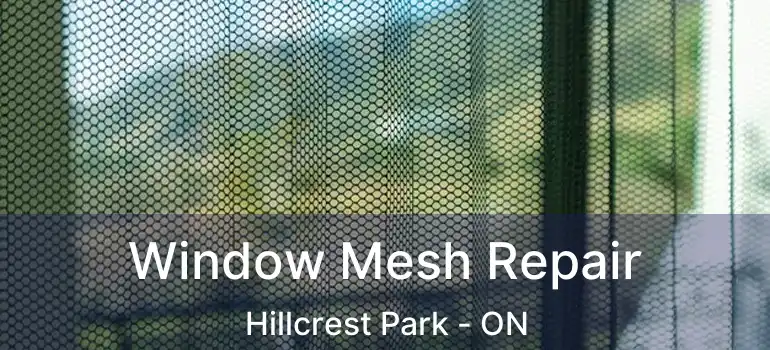  Window Mesh Repair Hillcrest Park - ON