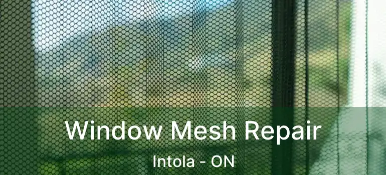  Window Mesh Repair Intola - ON