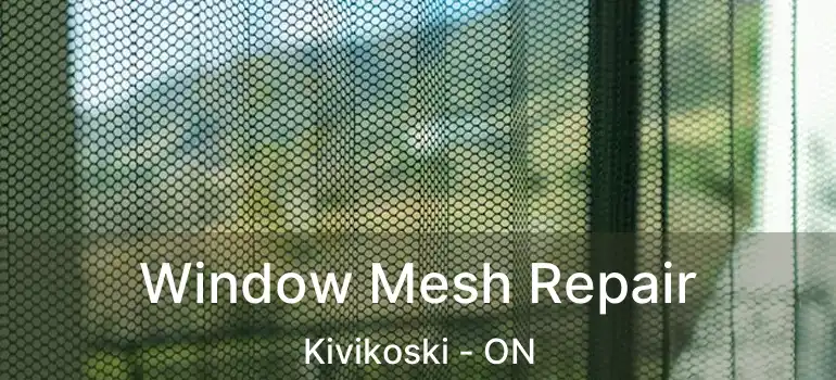  Window Mesh Repair Kivikoski - ON