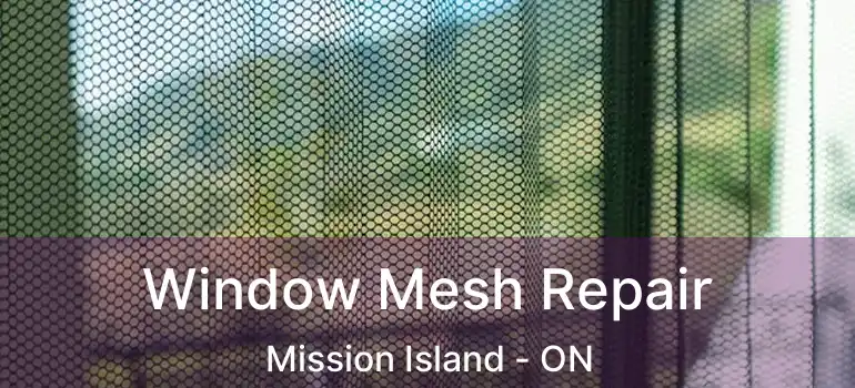  Window Mesh Repair Mission Island - ON