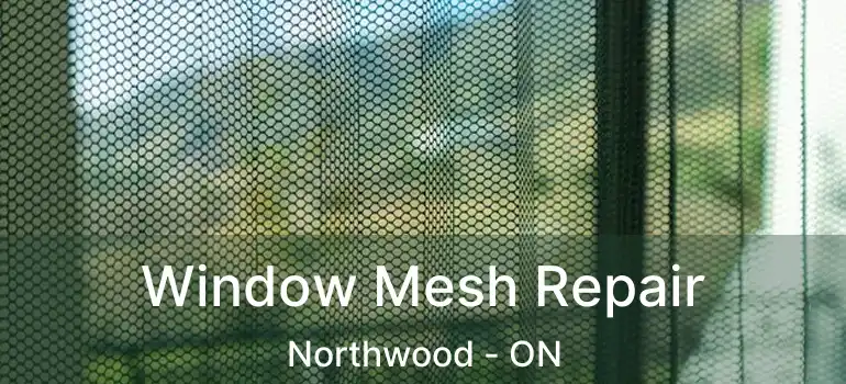  Window Mesh Repair Northwood - ON