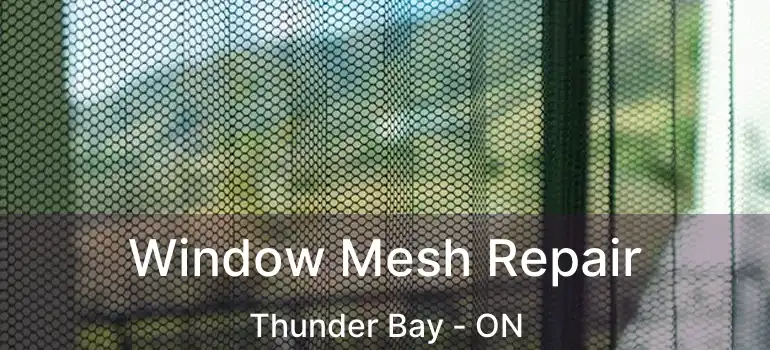  Window Mesh Repair Thunder Bay - ON