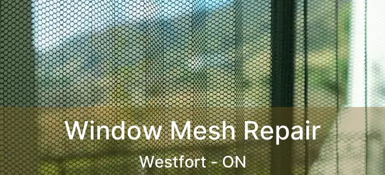  Window Mesh Repair Westfort - ON