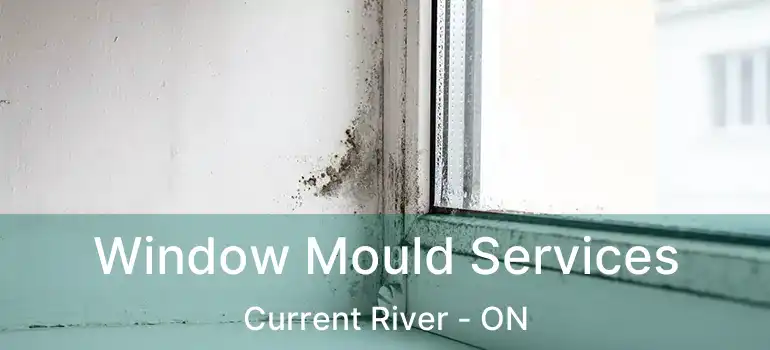  Window Mould Services Current River - ON