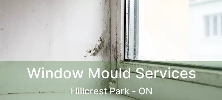  Window Mould Services Hillcrest Park - ON