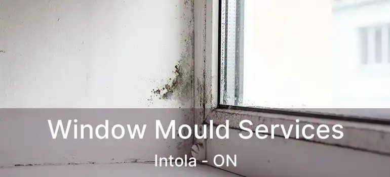  Window Mould Services Intola - ON