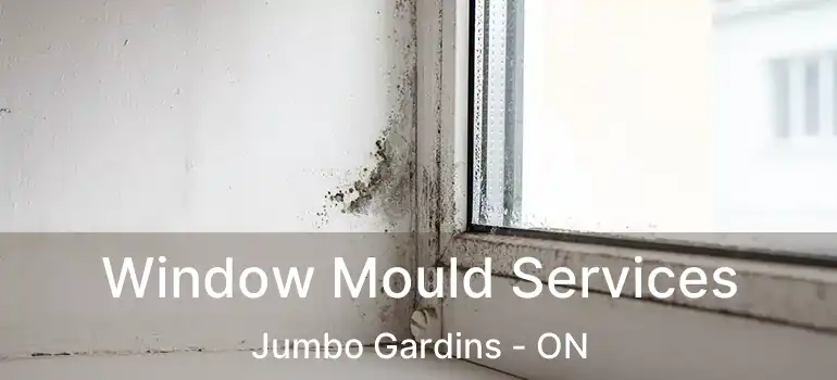  Window Mould Services Jumbo Gardins - ON