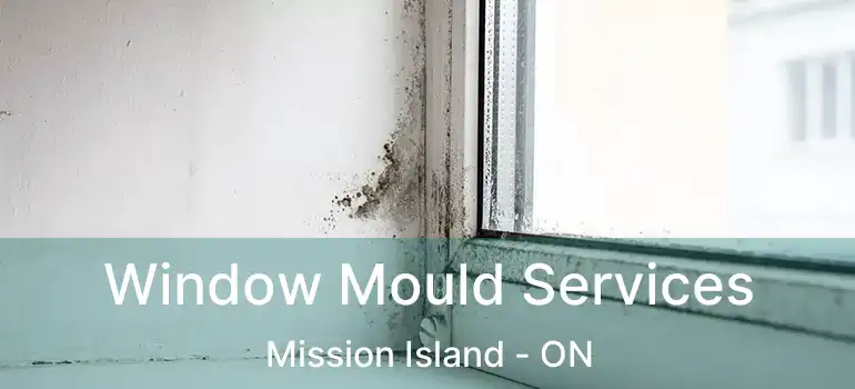  Window Mould Services Mission Island - ON