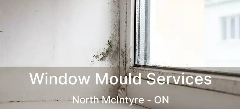  Window Mould Services North McIntyre - ON