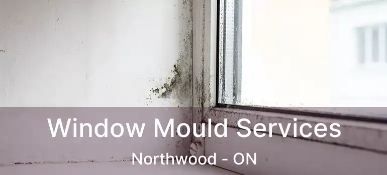  Window Mould Services Northwood - ON