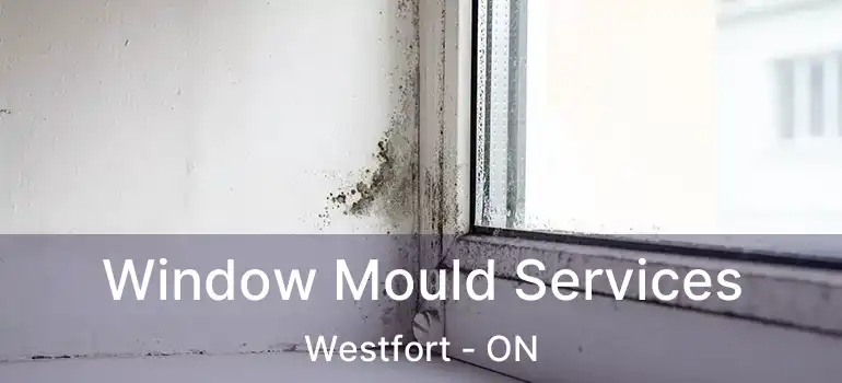  Window Mould Services Westfort - ON