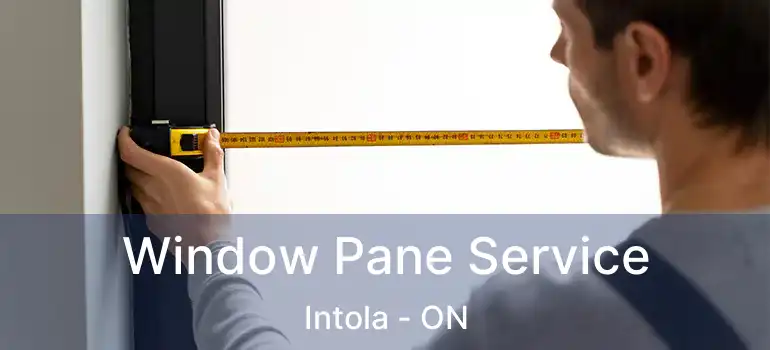  Window Pane Service Intola - ON