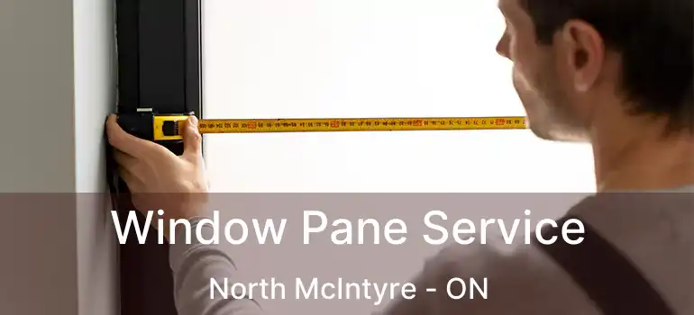  Window Pane Service North McIntyre - ON