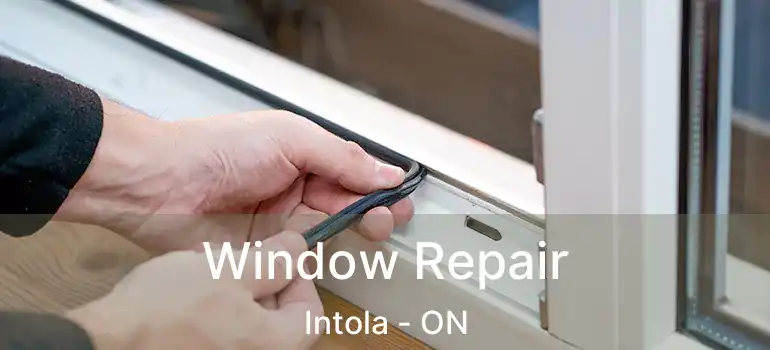  Window Repair Intola - ON