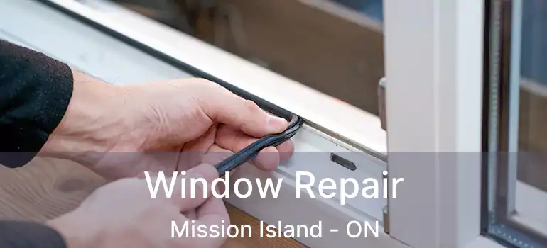  Window Repair Mission Island - ON