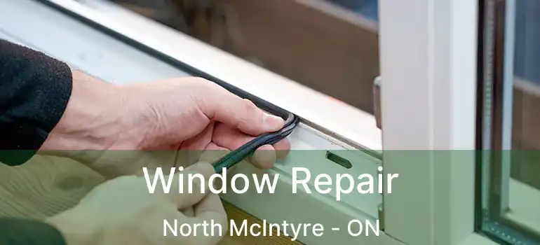  Window Repair North McIntyre - ON