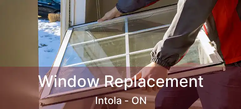  Window Replacement Intola - ON