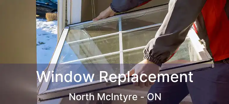  Window Replacement North McIntyre - ON