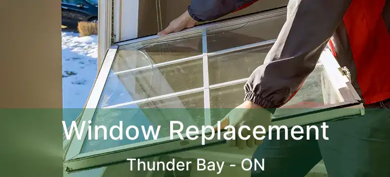  Window Replacement Thunder Bay - ON