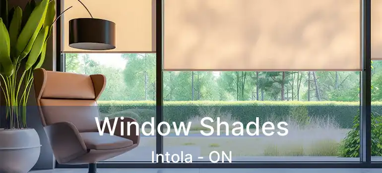  Window Shades Intola - ON