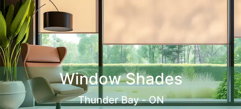  Window Shades Thunder Bay - ON