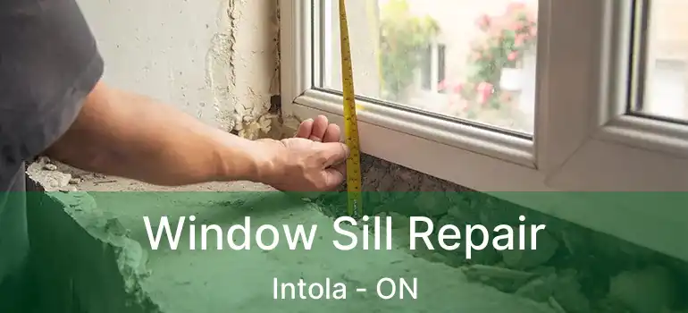  Window Sill Repair Intola - ON