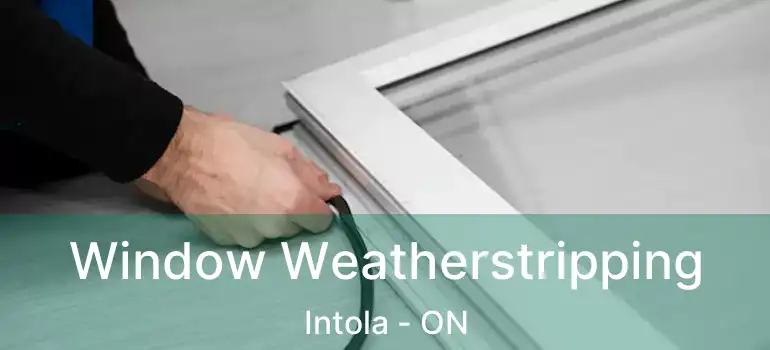  Window Weatherstripping Intola - ON