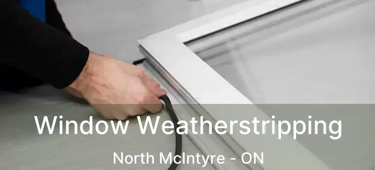  Window Weatherstripping North McIntyre - ON