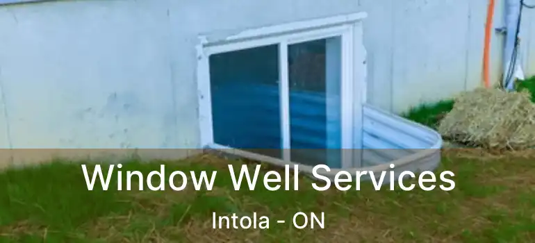  Window Well Services Intola - ON