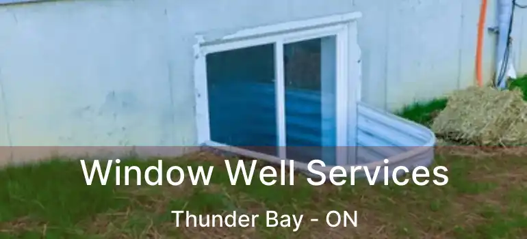  Window Well Services Thunder Bay - ON