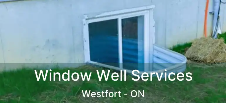  Window Well Services Westfort - ON