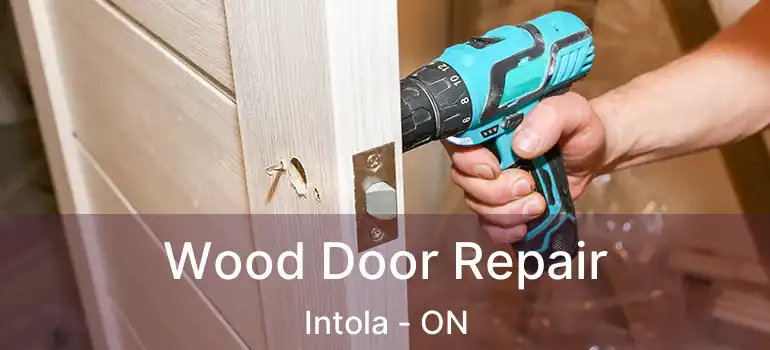  Wood Door Repair Intola - ON